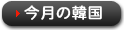 今月の韓国