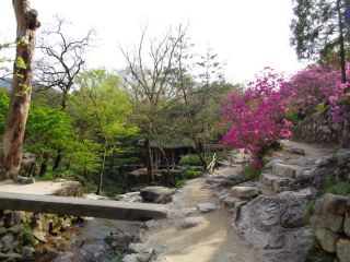 朝鮮時代中期の学者が1519年に開園した庭園