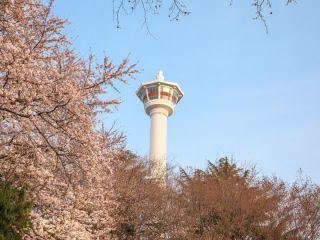 ※写真提供：釜山タワー