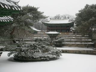 芙蓉池の雪景色
