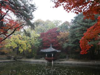 秋の「愛蓮池」