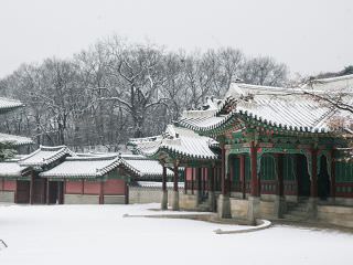 昌徳宮の冬