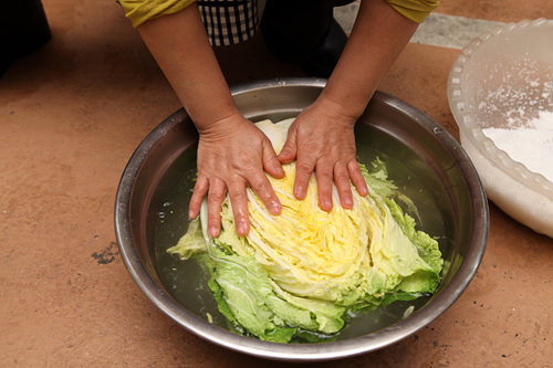 3.塩度10%(水:塩が10:1)の塩水を作り、白菜をよく浸す。 3.塩度10%(水:塩が10:1)の塩水を作り、白菜をよく浸す。