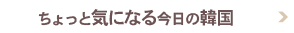 ちょっと気になる今日の韓国