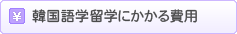 韓国語学留学にかかる費用