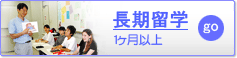 長期留学