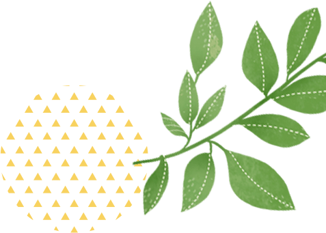 江原道 カンウォンド ヒーリング旅行 韓国旅行 コネスト