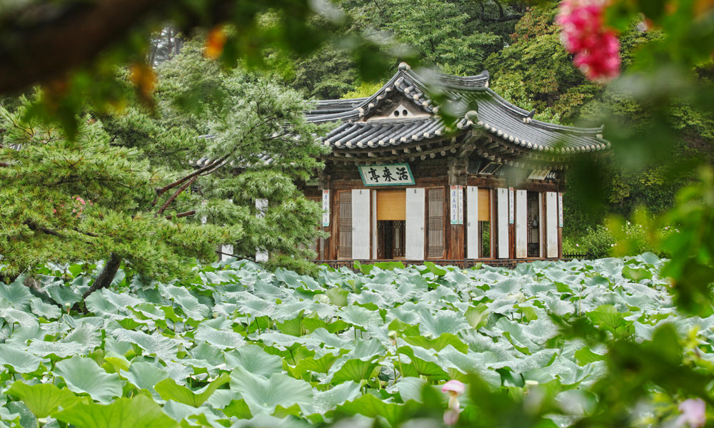 江原特別自治道の東海・江陵 1泊2日 旅行モデルプラン 2日目｜韓国旅行「コネスト」