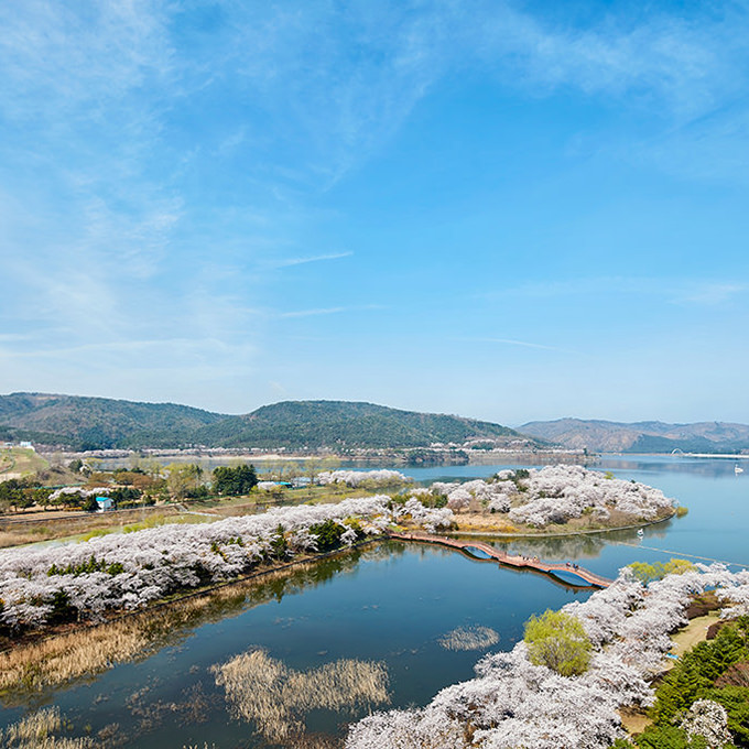 歴史の花が咲く旅行、慶尚北道(キョンサンプット)｜韓国旅行「コネスト」