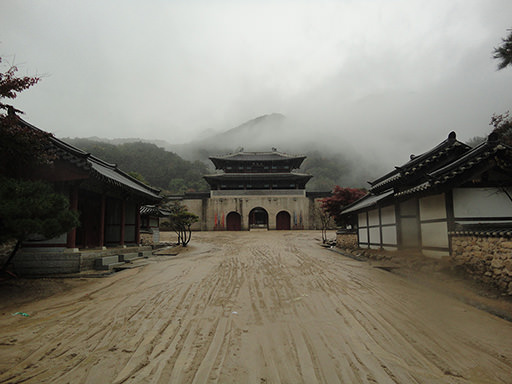 歴史の花が咲く旅行、慶尚北道(キョンサンプット)|韓国旅行「コネスト」