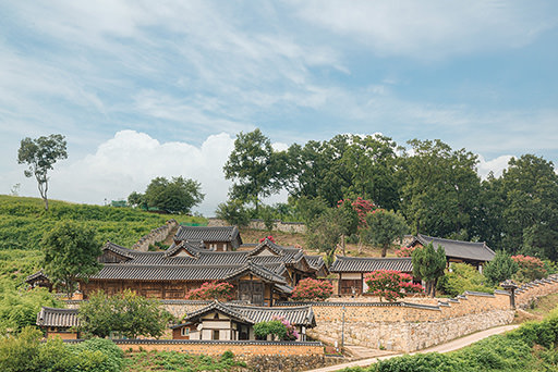 歴史の花が咲く旅行、慶尚北道(キョンサンプット)｜韓国旅行「コネスト」