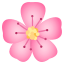 :cherry_blossom: 🌸
