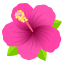 :hibiscus: 🌺