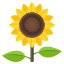 :sunflower: 🌻