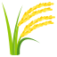:ear_of_rice: 🌾