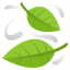 🍃
