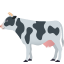 :cow2: 🐄