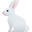 :rabbit2: 🐇
