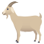 :goat: 🐐
