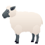 :sheep: 🐑