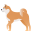 :dog2: 🐕