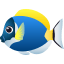 :tropical_fish: 🐠