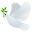 :dove: 🕊