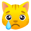 :crying_cat_face: 😿