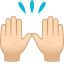 :raised_hands_tone1: 🙌🏻