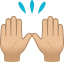 :raised_hands_tone2: 🙌🏼