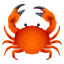:crab: 🦀