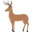 :deer: 🦌