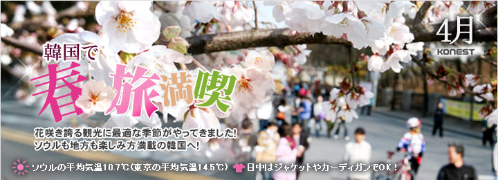 4月は韓国で春旅満喫