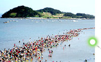 珍島海割れツアー(釜山発着)