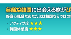 多様な韓国に出会える旅がぴったり
