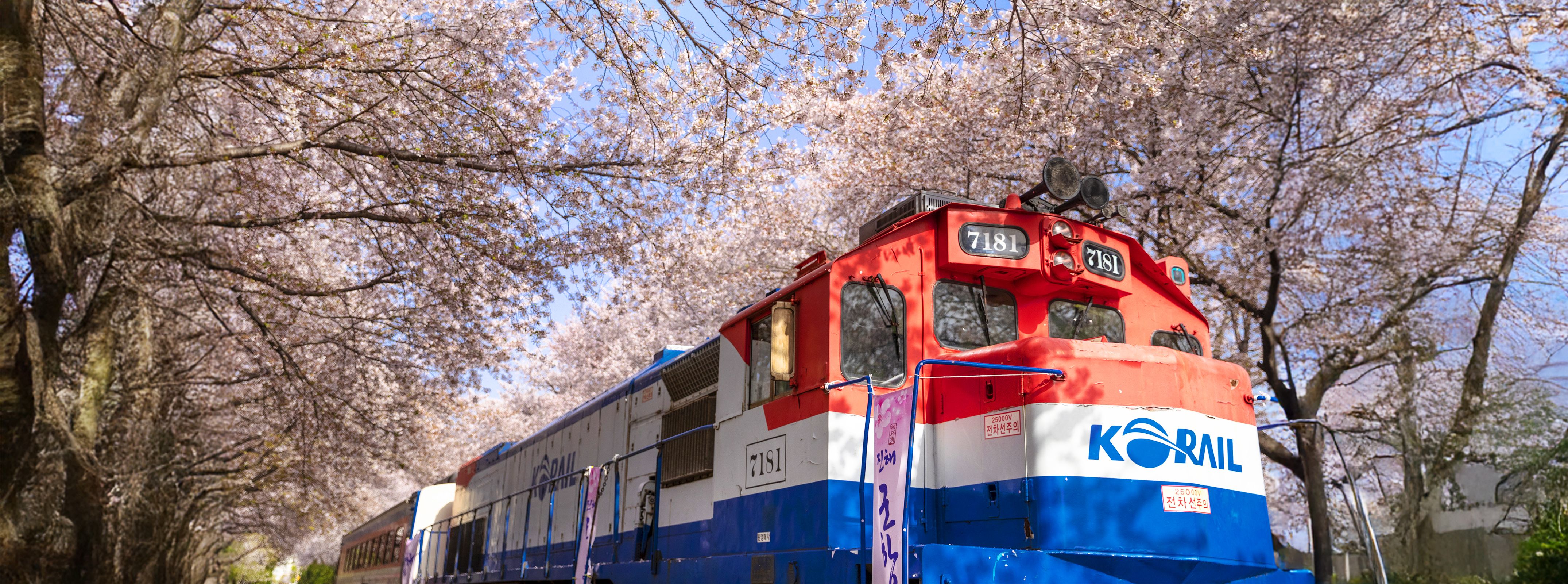 鎮海(チネ)のエリアガイド｜韓国旅行「コネスト」