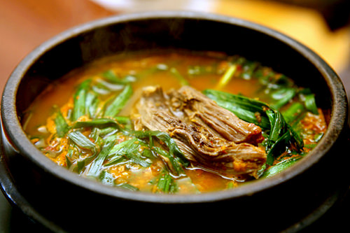 ポシンタン 犬肉スープ 韓国料理 グルメガイド 韓国旅行 コネスト