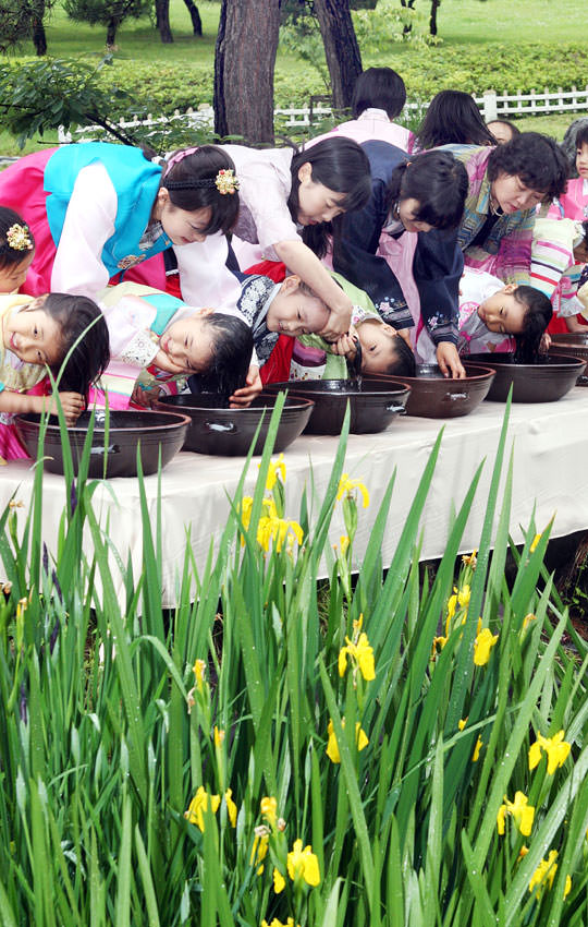 写真 菖蒲水で洗髪 韓国の社会 文化ニュース 韓国旅行 コネスト 写真 菖蒲水で洗髪 韓国の社会 文化ニュース 韓国旅行 コネスト