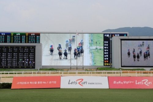 世界最大規模の競馬電光掲示板を公開 の写真 韓国ソウルのスポーツニュース 韓国旅行 コネスト