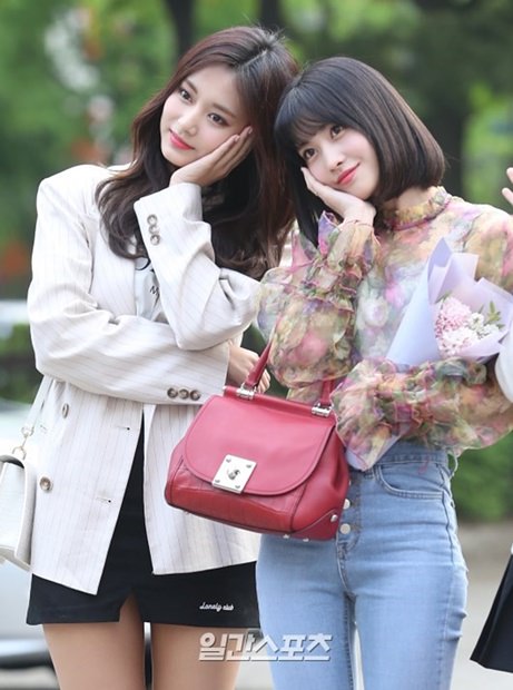 Twiceツウィ モモ 最強キュートな花びらポーズ 韓国の芸能ニュース 韓国旅行 コネスト