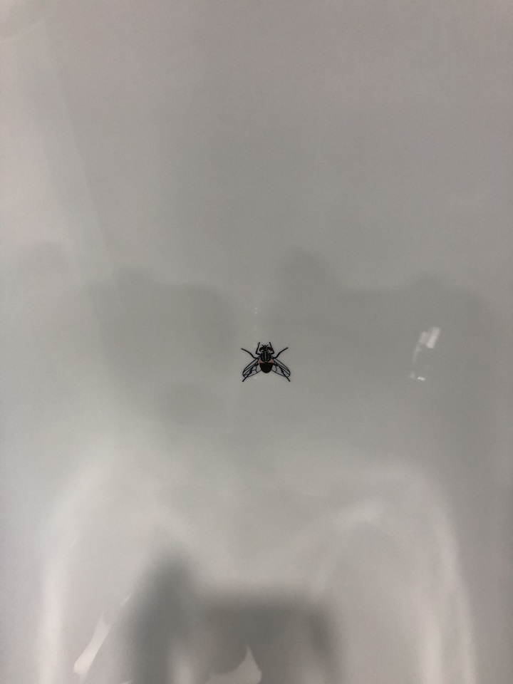 韓国の男性用トイレでよく見かける小便器の絵とは 韓国の社会 文化ニュース 韓国旅行 コネスト