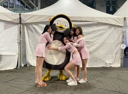 今 韓国で大人気のペンギン ペンス の正体は Now ソウル 韓国旅行 コネスト