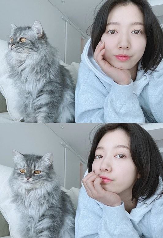 女優パク シネ 誕生日に伝えた近況 ファンのおかげで幸せ 韓国の芸能ニュース 韓国旅行 コネスト 女優パク シネ 誕生日に伝えた近況 ファンのおかげで幸せ 韓国の芸能ニュース 韓国旅行 コネスト