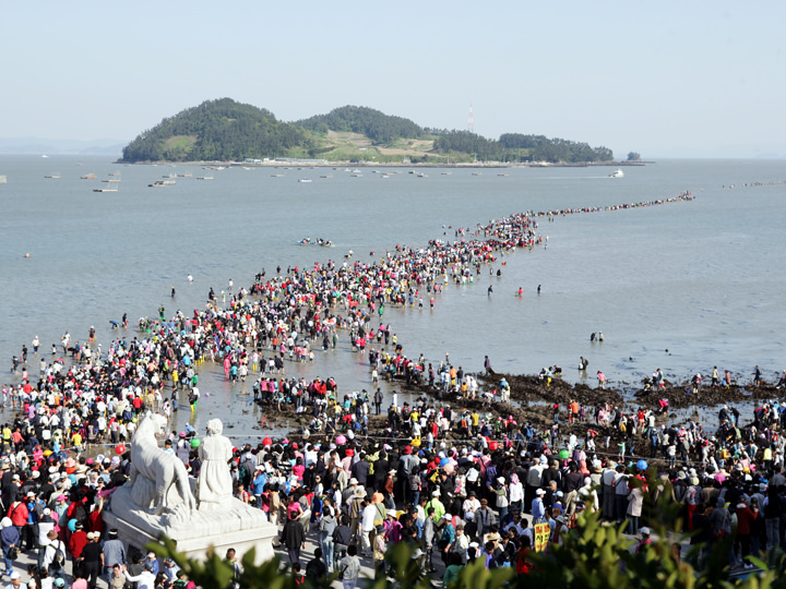 珍島海割れ祭り