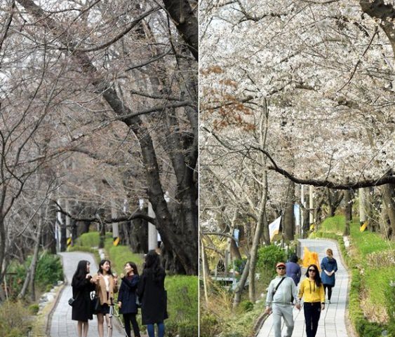 韓国3月の気温が歴代最高 英国 フランス 60年代以降最高 韓国の社会 文化ニュース 韓国旅行 コネスト 韓国3月の気温が歴代最高 英国 フランス 60年代以降最高 韓国の社会 文化ニュース 韓国旅行 コネスト
