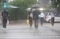 江原道大雨…今週いっぱい韓国全域雨