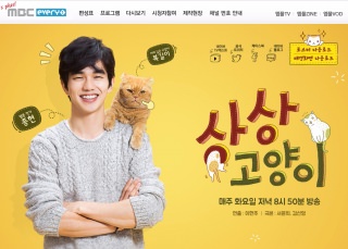 韓国ドラマ 想像ネコ 僕とポッキルと彼女の話 のあらすじ 作品情報 韓国旅行 コネスト