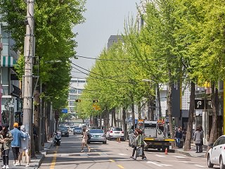 おしゃれエリア・カロスキル(新沙洞 街路樹通り)を徹底攻略!
