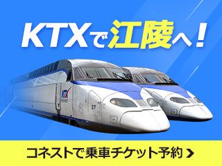 韓国鉄道の旅完全ガイド : きっぷの買い方、乗り方、列車の魅力まですべて網羅! 韓国鉄道の旅完全ガイド―きっぷの買い方、乗り方、列車の魅力