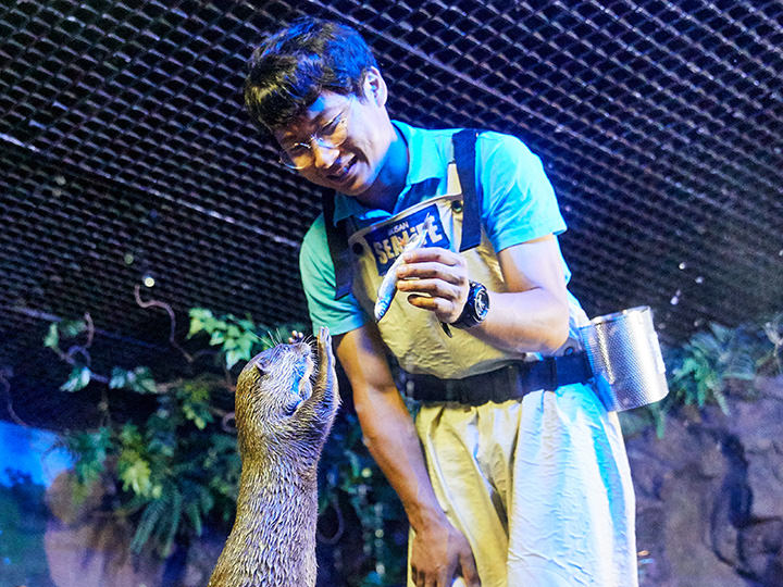 シーライフ<br>釜山アクアリウム入場券